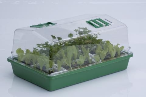 Gewächshaus Propagator 43