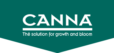 Canna