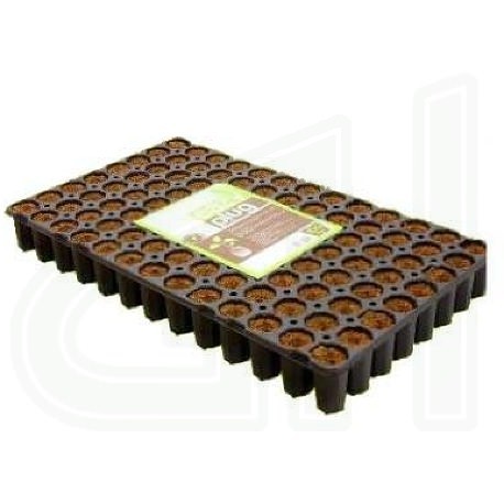 Eazy Plug Anzuchttray — Gebinde