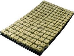 Grodan Anzuchttray