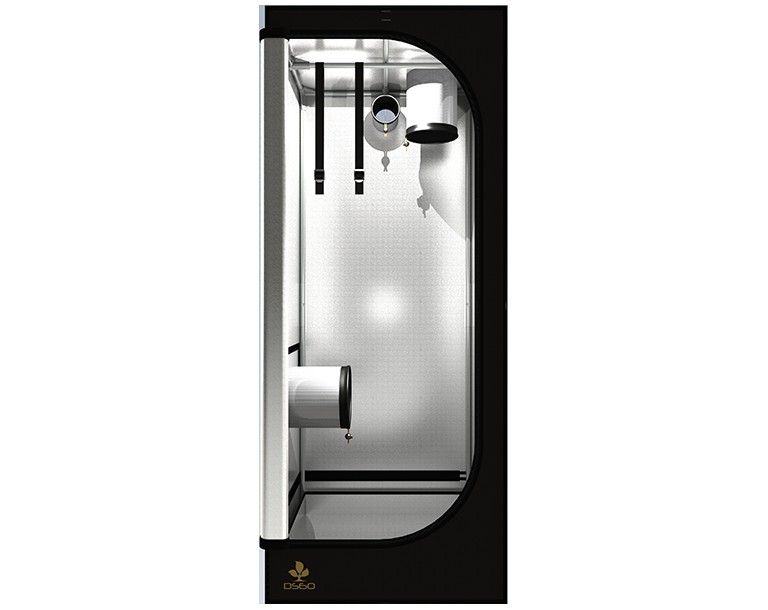 Secret Jardin Dark Street R4.0