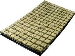 Grodan Anzuchttray — Karton