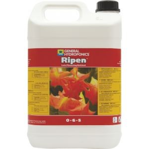 GHE Ripen / T.A. FinalPart