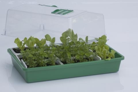 Gewächshaus Propagator 43