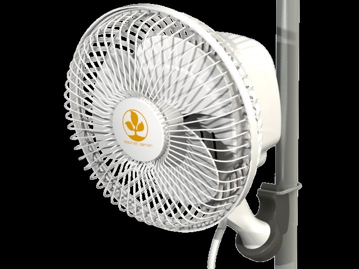 Secret Jardin Monkey Fan