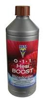 HESI Boost